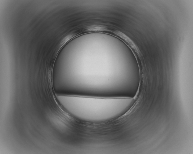 X0000113241337200909100915