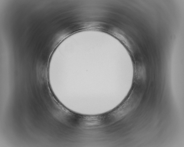 X0000113241338200909100915