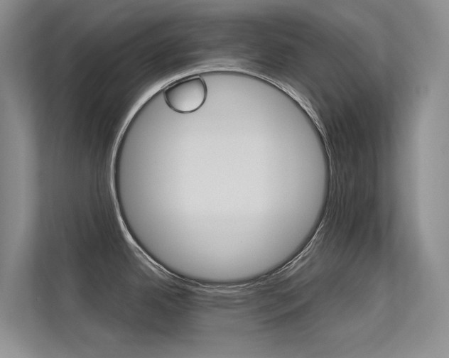 X0000113241342200909100915