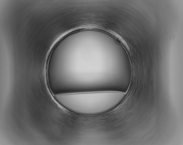 X0000113241343200909100915