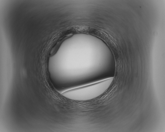 X0000113241345200909100914