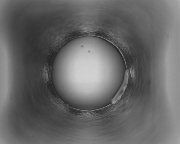 X0000113241348200909100914
