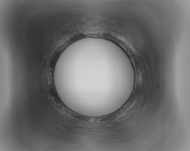 X0000113241350200909100914