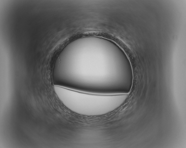 X0000113241351200909100914