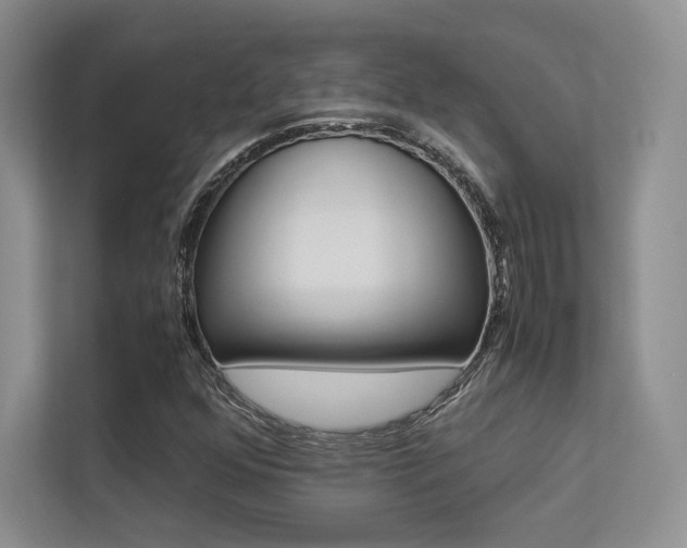 X0000113241352200909100914