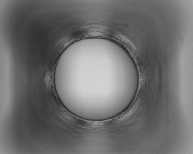 X0000113241353200909100914