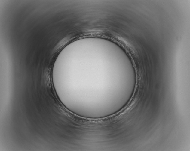 X0000113241354200909100914