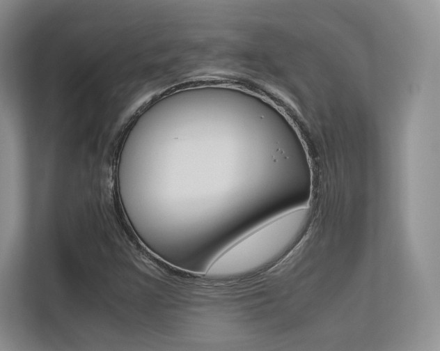 X0000113241355200909100914