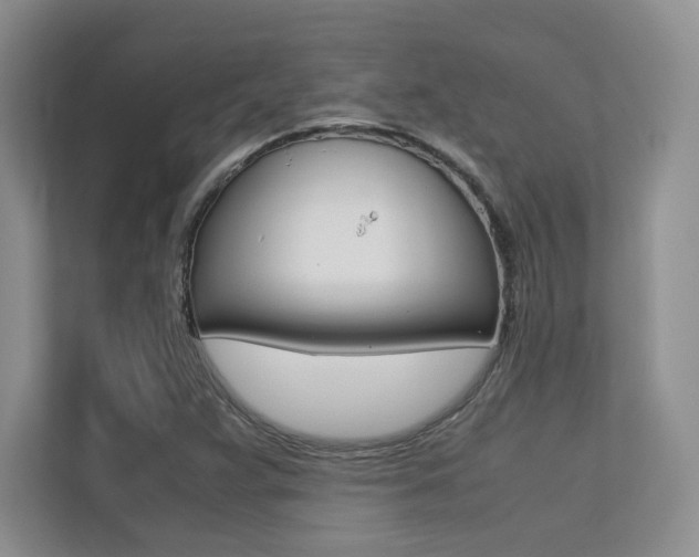 X0000113241359200909100914