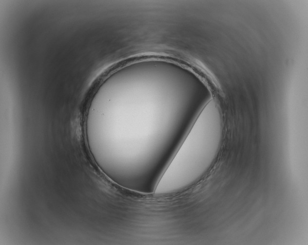 X0000113241360200909100914