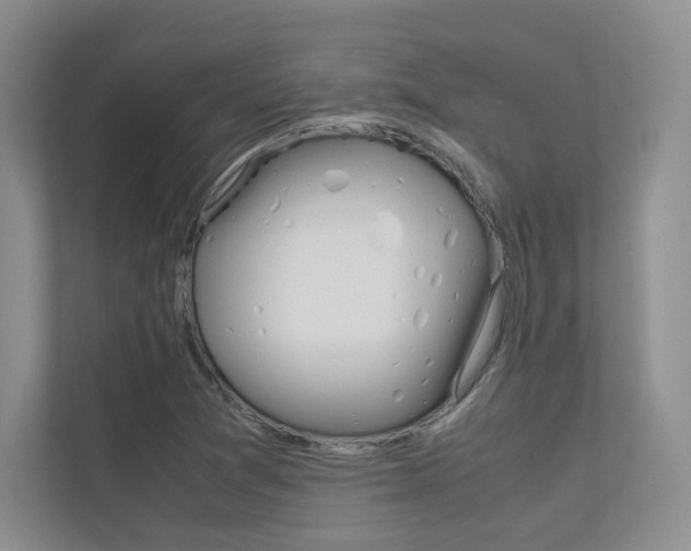 X0000113241361200909100914