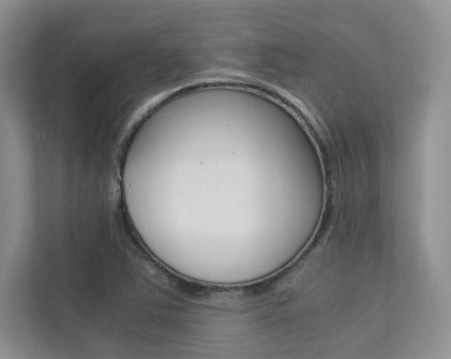 X0000113241363200909100914