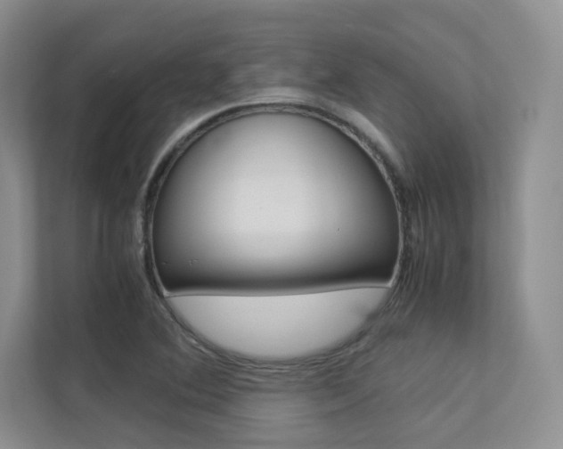 X0000113241364200909100914