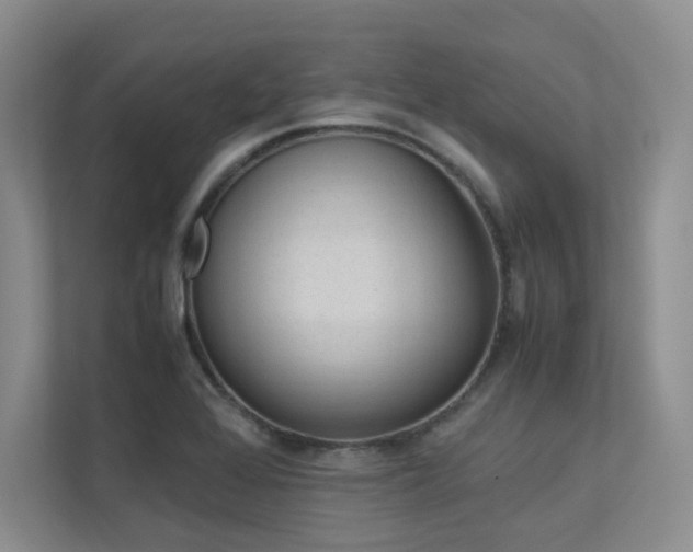 X0000113241368200909100914
