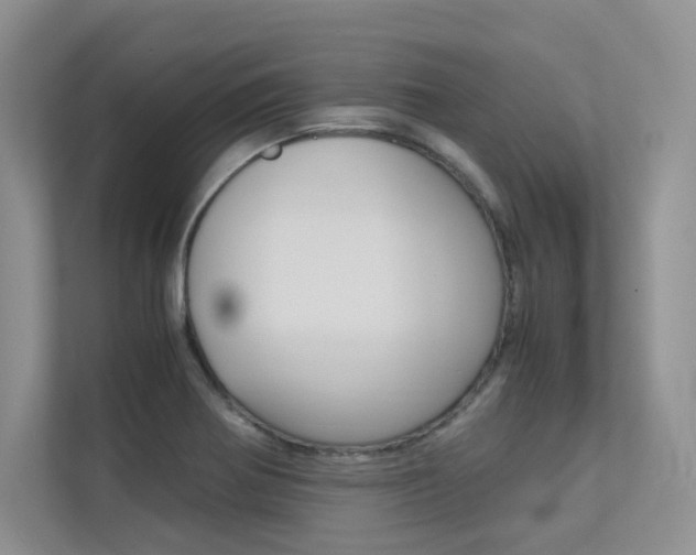 X0000113241370200909100914