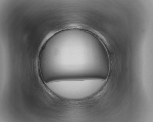 X0000113241373200909100914