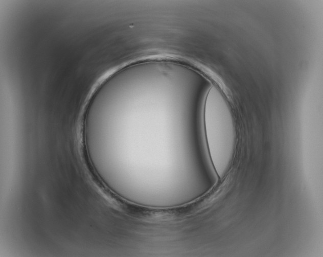 X0000113241375200909100914