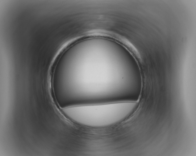 X0000113241376200909100914