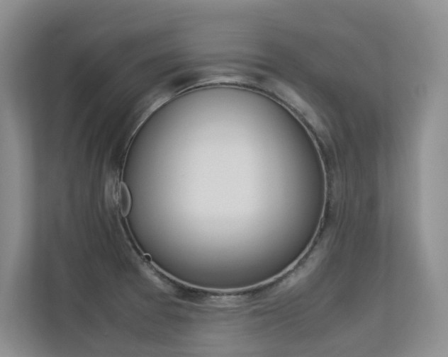 X0000113241377200909100914