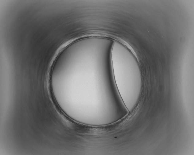 X0000113241379200909100914