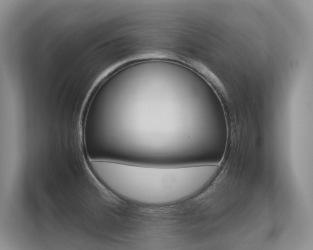 X0000113241380200909100914