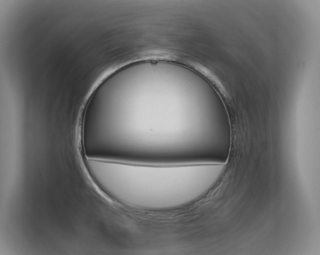 X0000113241383200909100914