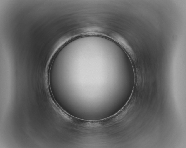 X0000113241384200909100914