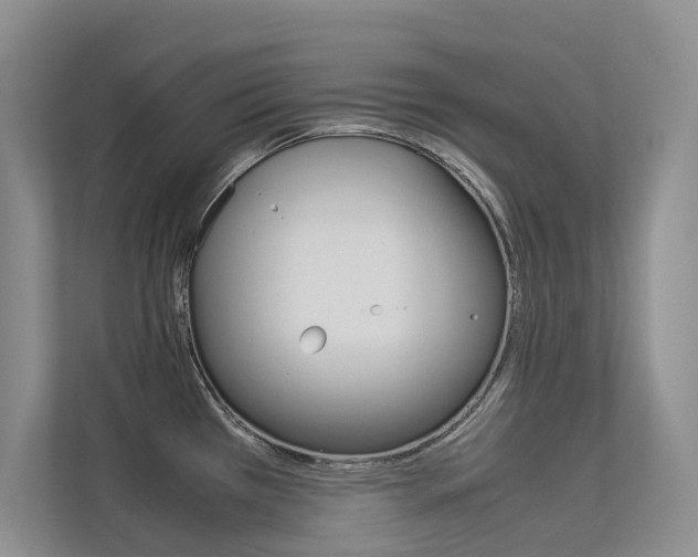 X0000113241385200909100914