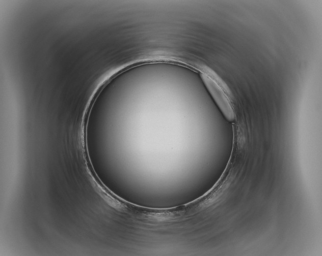 X0000113241388200909100914