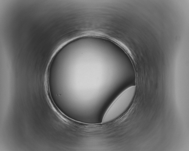 X0000113241391200909100914