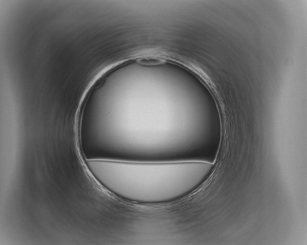 X0000113241392200909100914