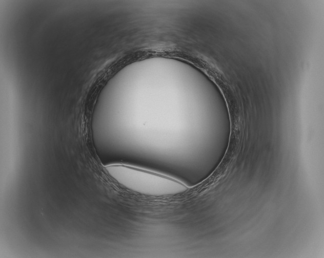 X0000113241398200909100913