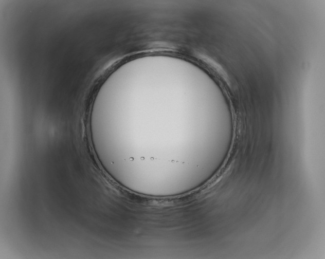 X0000113241407200909100913