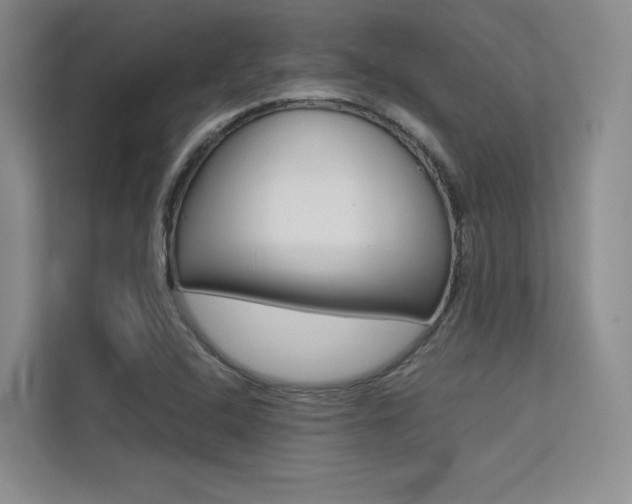 X0000113241408200909100913
