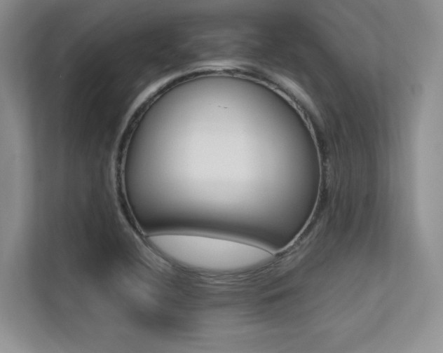 X0000113241412200909100914