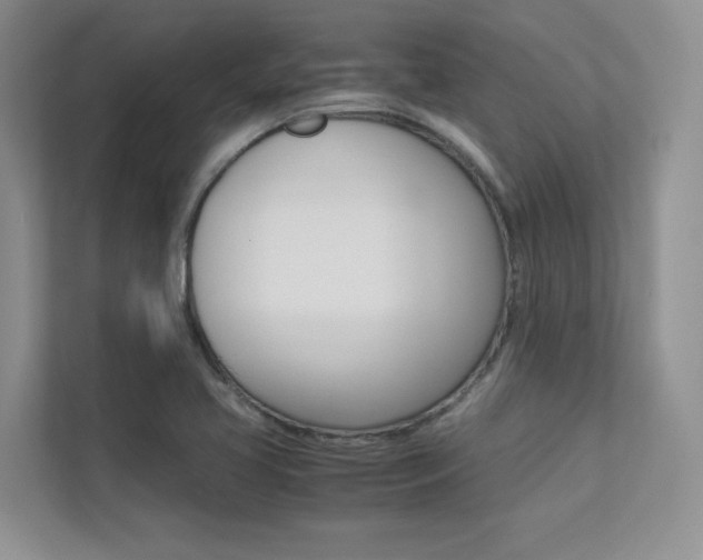 X0000113241413200909100914