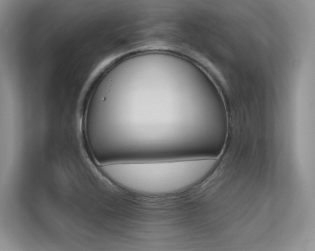 X0000113241416200909100914