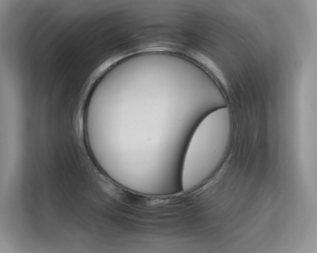 X0000113241419200909100914