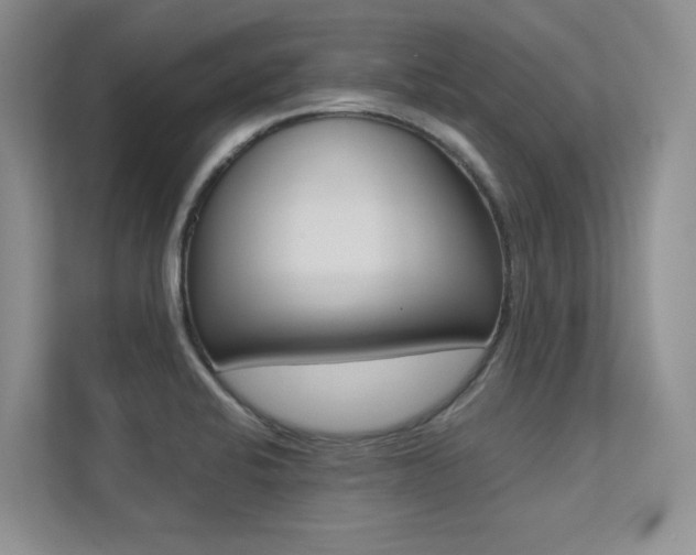 X0000113241424200909100914