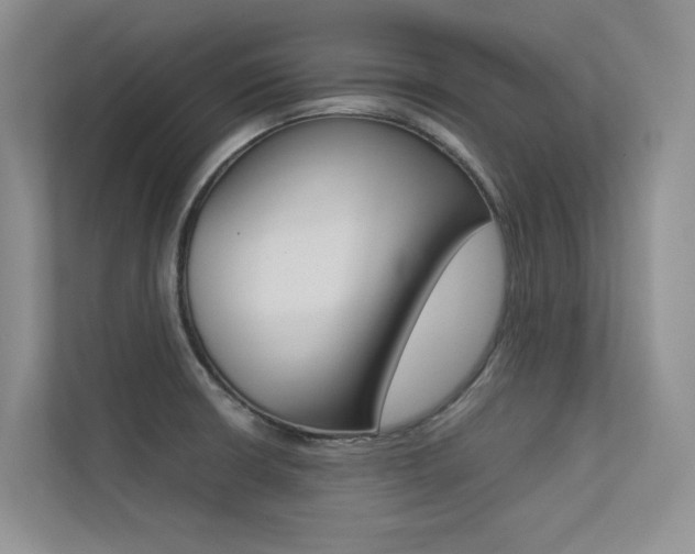 X0000113241426200909100914