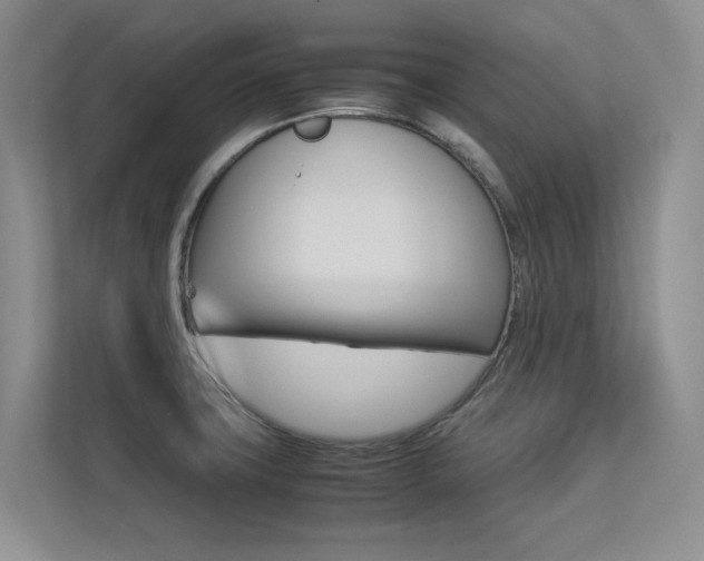 X0000113241427200909100914