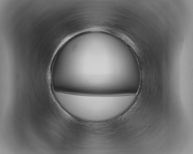 X0000113241428200909100914