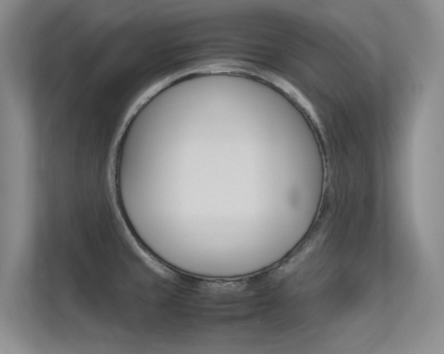 X0000113241429200909100914