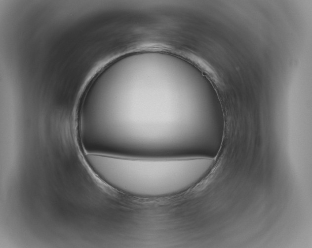 X0000113241430200909100914