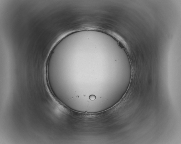 X0000113241431200909100914