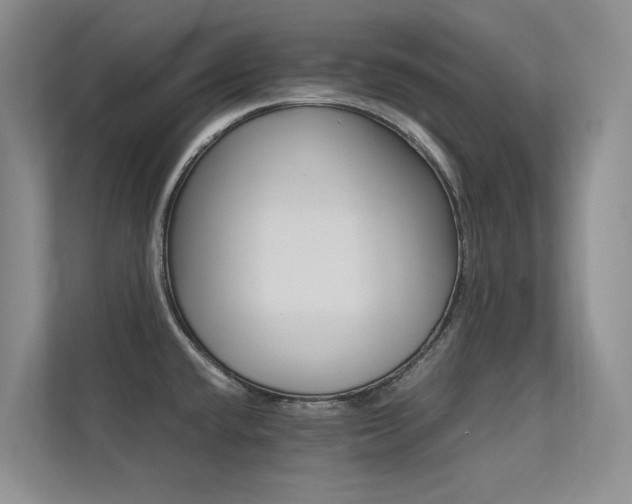 X0000113241432200909100914