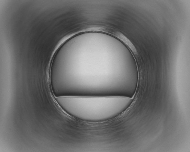 X0000113241436200909100914