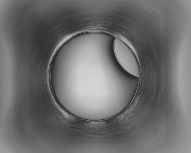 X0000113241437200909100914