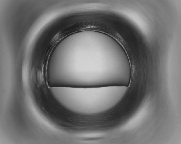 X0000113241439200909100914