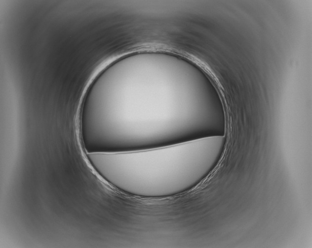X0000113241440200909100914